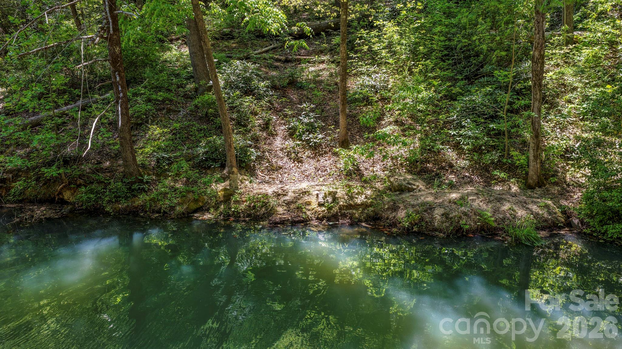 595 Quail Ridge Boulevard Lake Lure NC 28746