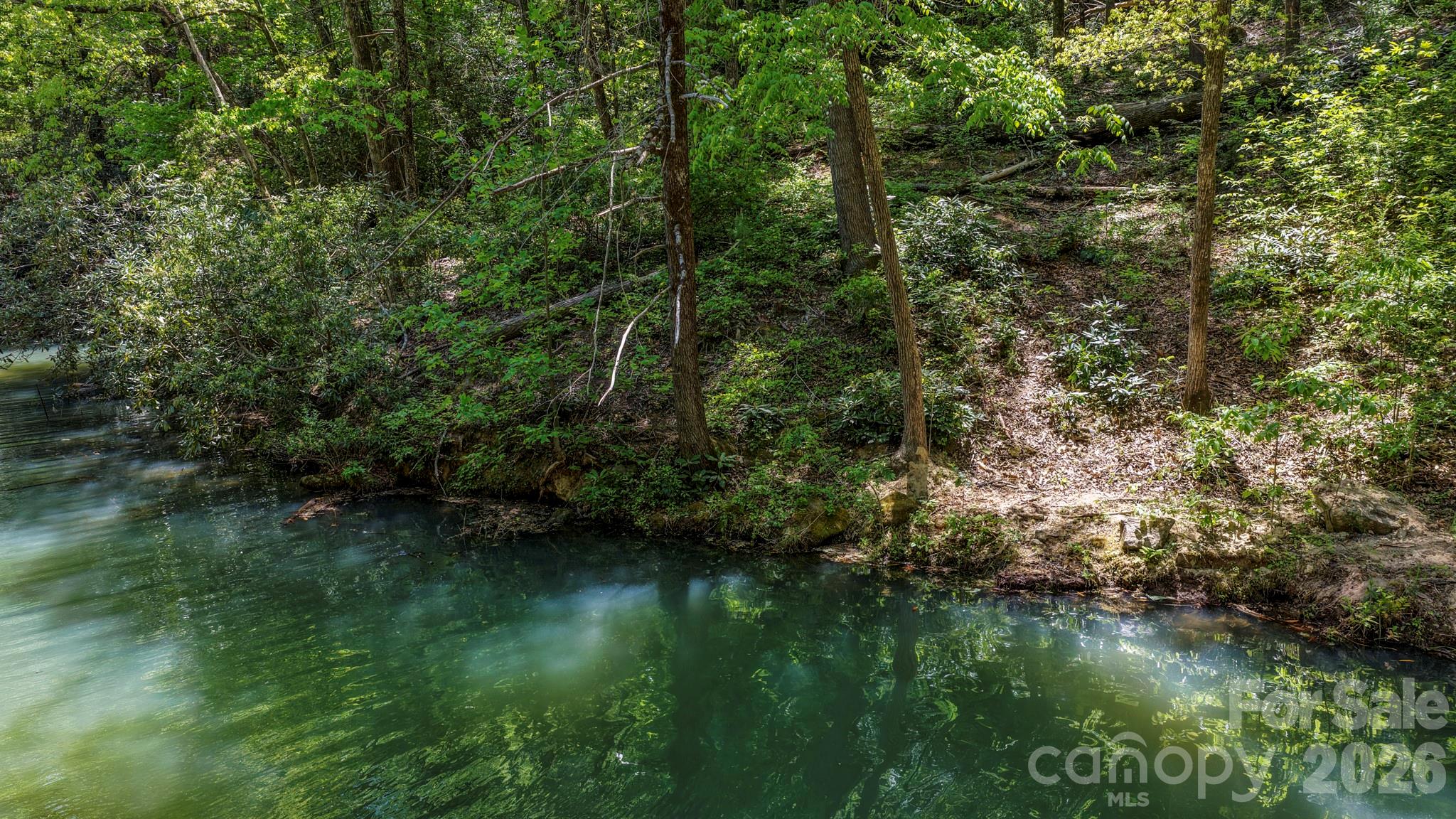 595 Quail Ridge Boulevard Lake Lure NC 28746