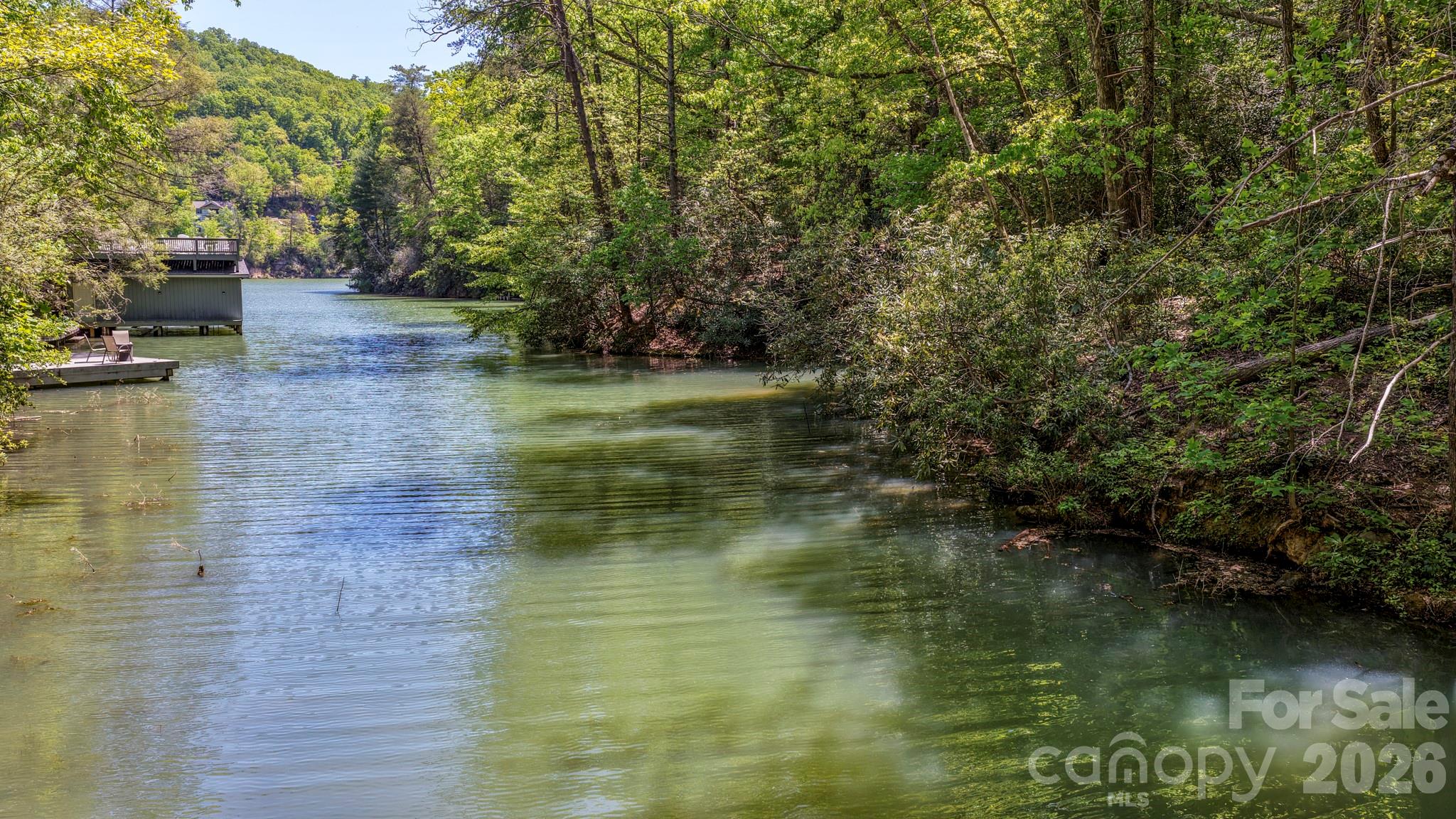 595 Quail Ridge Boulevard Lake Lure NC 28746