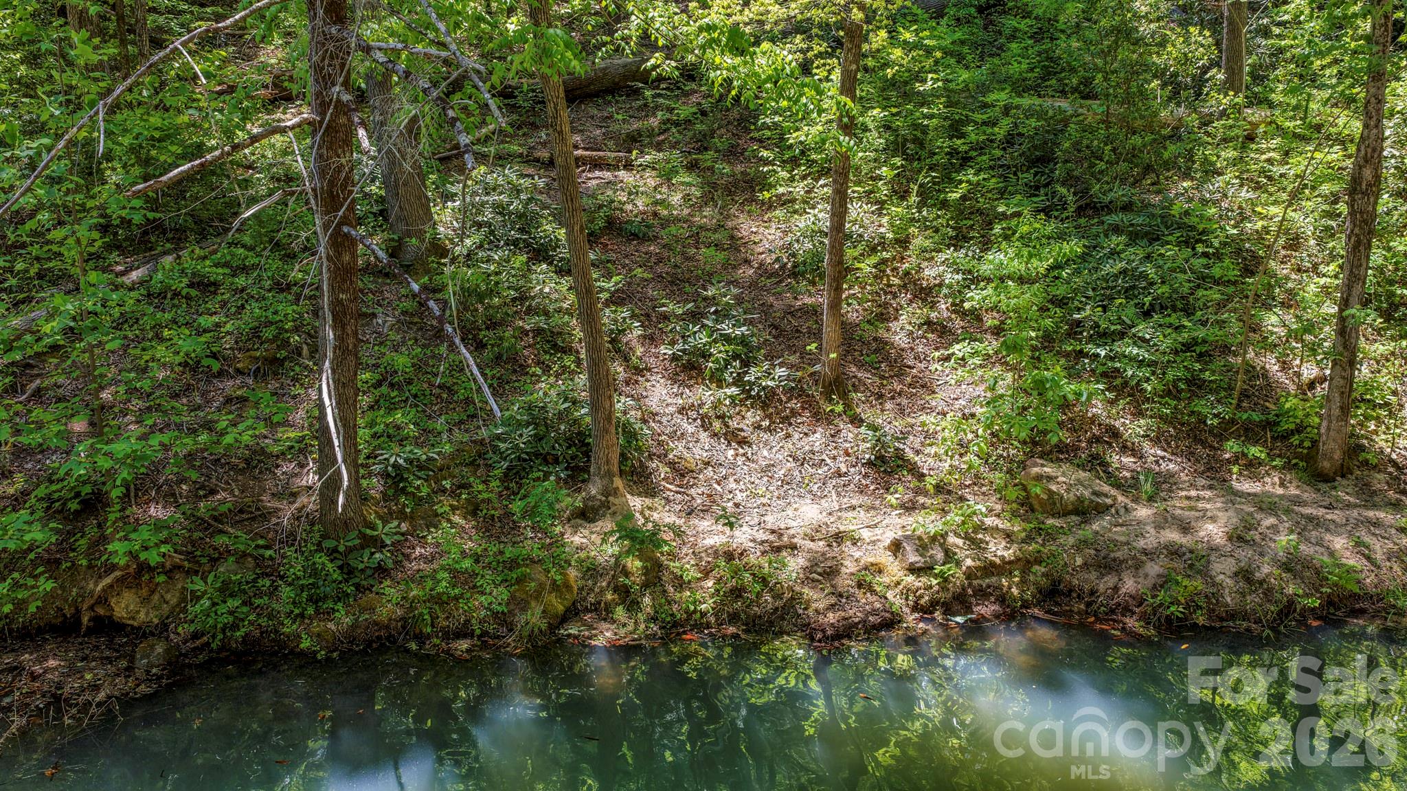 595 Quail Ridge Boulevard Lake Lure NC 28746