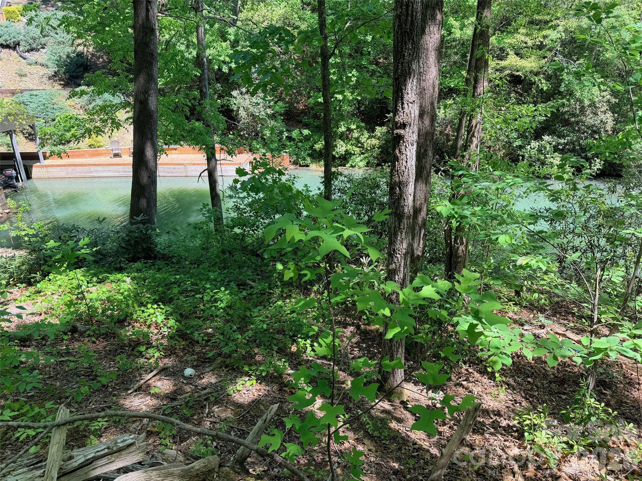 595 Quail Ridge Boulevard Lake Lure NC 28746