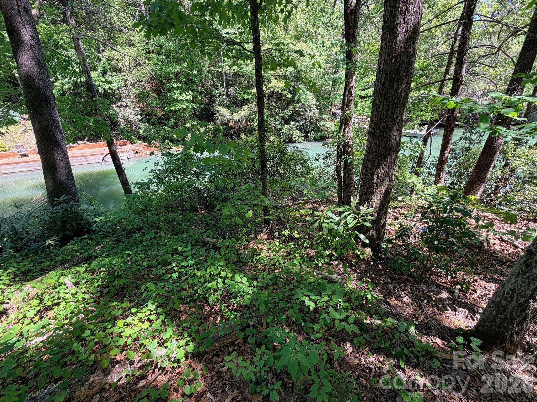 595 Quail Ridge Boulevard Lake Lure NC 28746