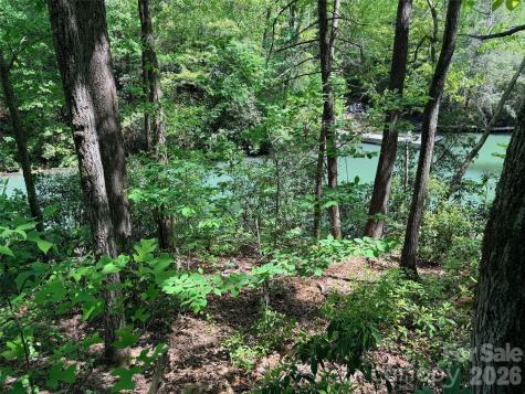 595 Quail Ridge Boulevard Lake Lure NC 28746