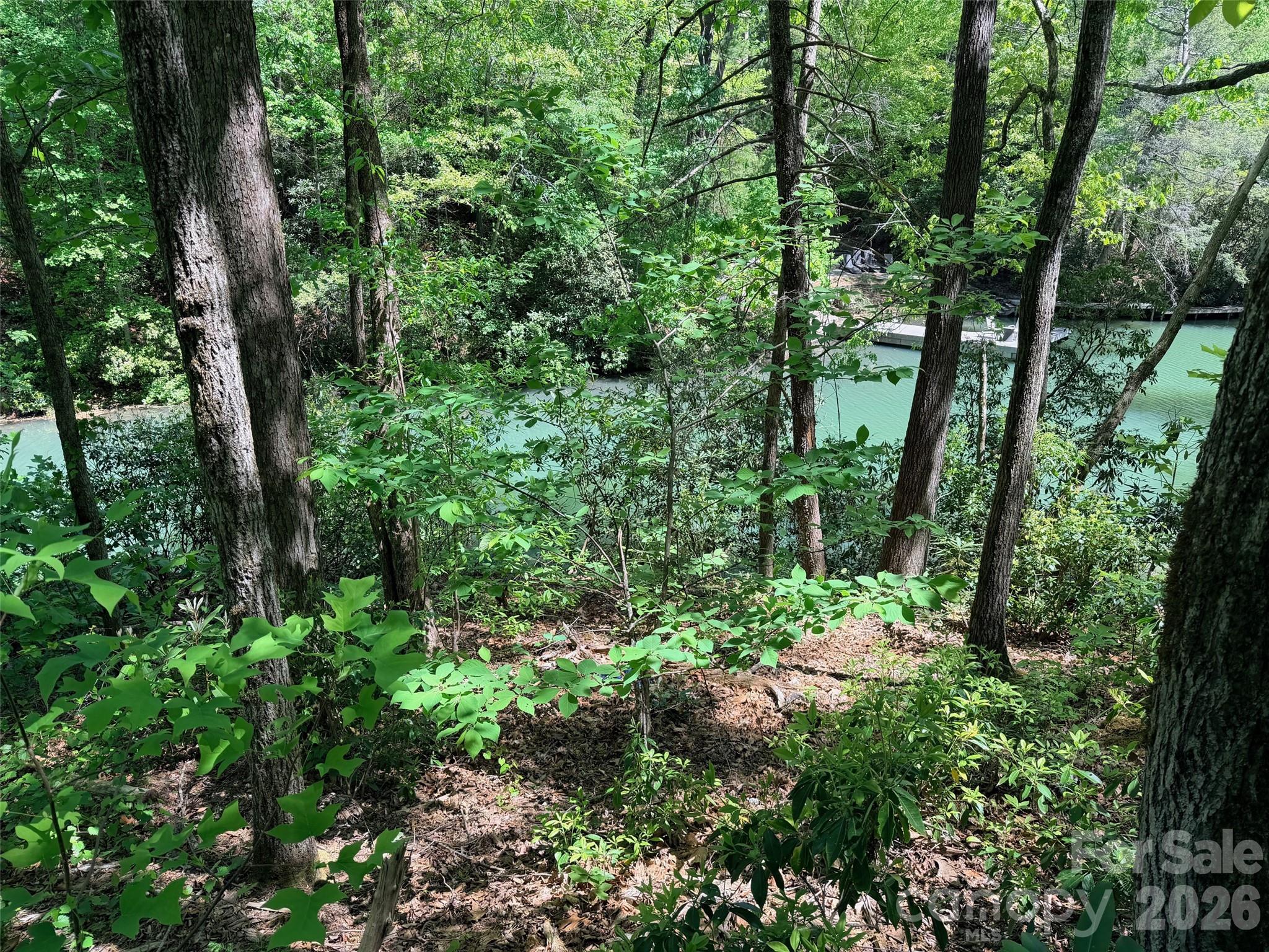 595 Quail Ridge Boulevard Lake Lure NC 28746