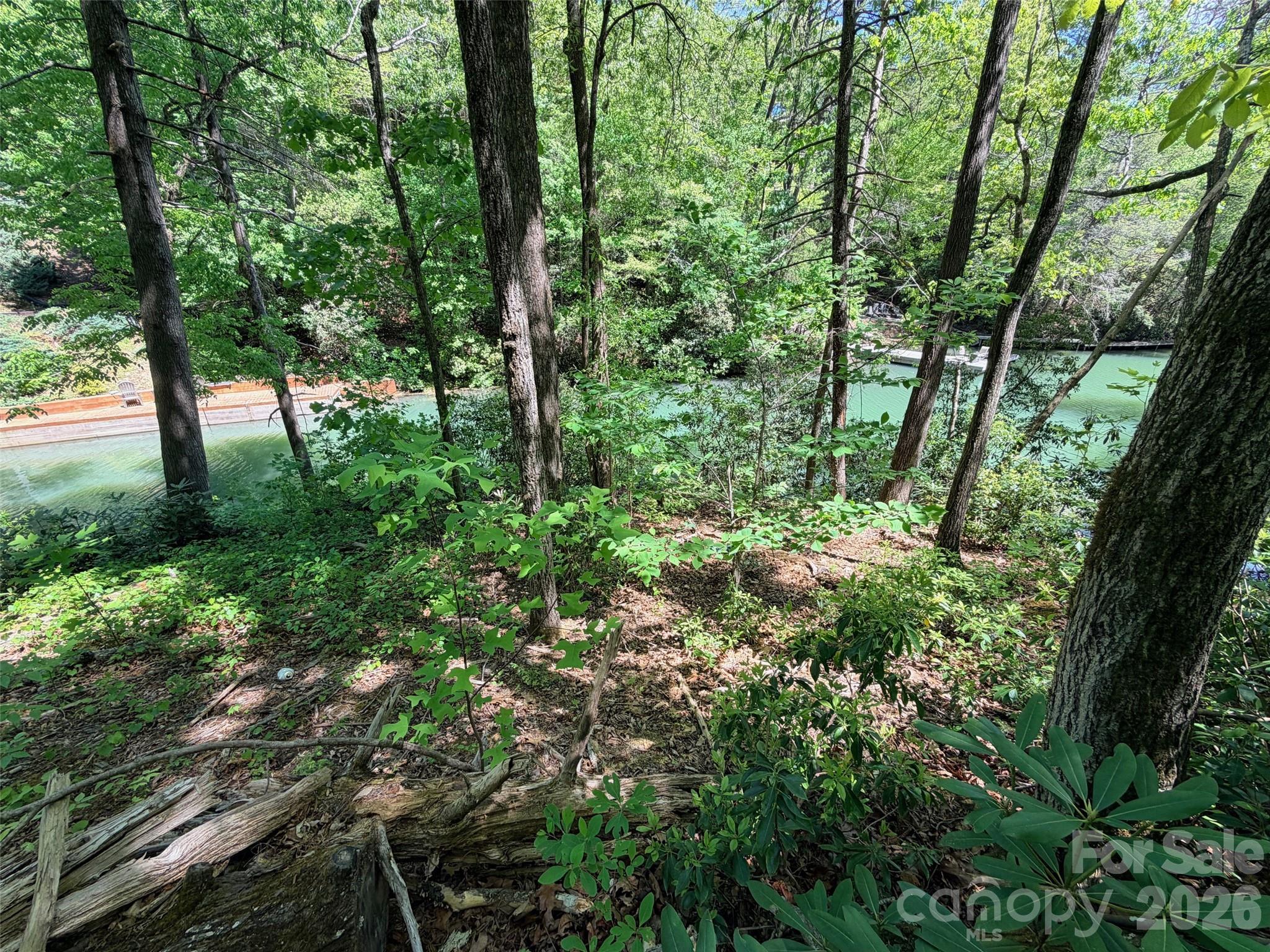 595 Quail Ridge Boulevard Lake Lure NC 28746
