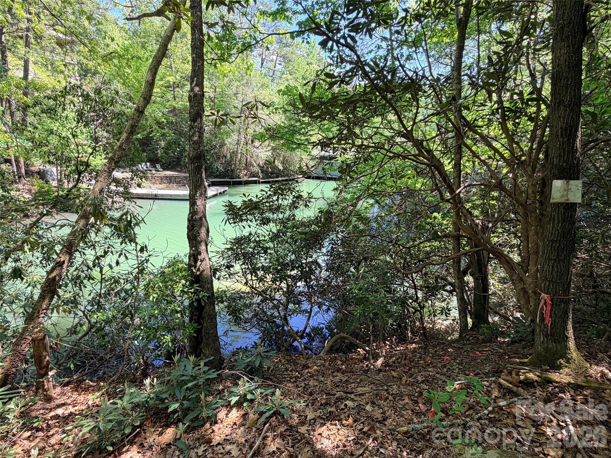 595 Quail Ridge Boulevard Lake Lure NC 28746