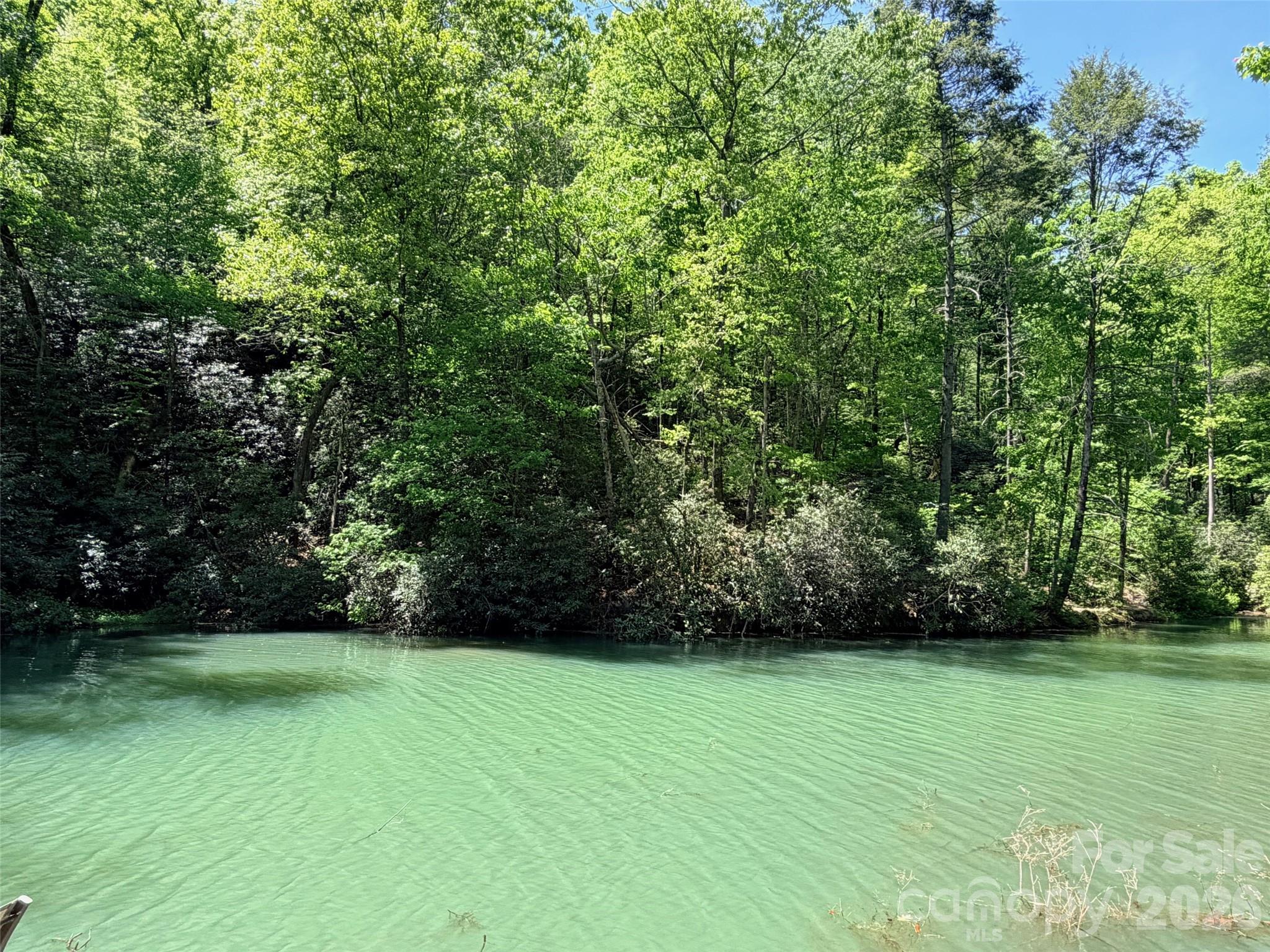 595 Quail Ridge Boulevard Lake Lure NC 28746