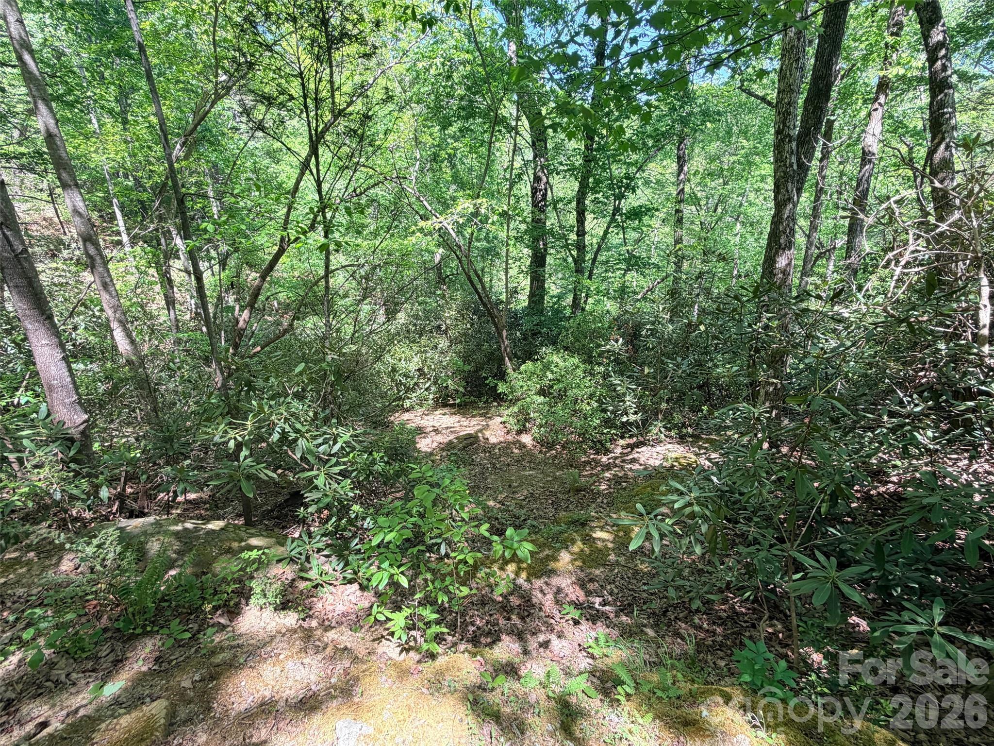 595 Quail Ridge Boulevard Lake Lure NC 28746