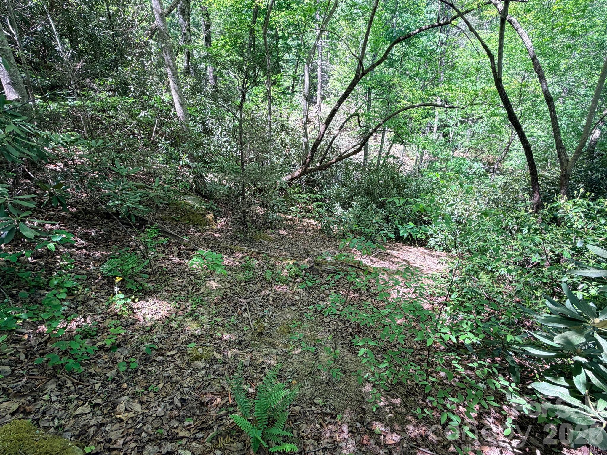 595 Quail Ridge Boulevard Lake Lure NC 28746