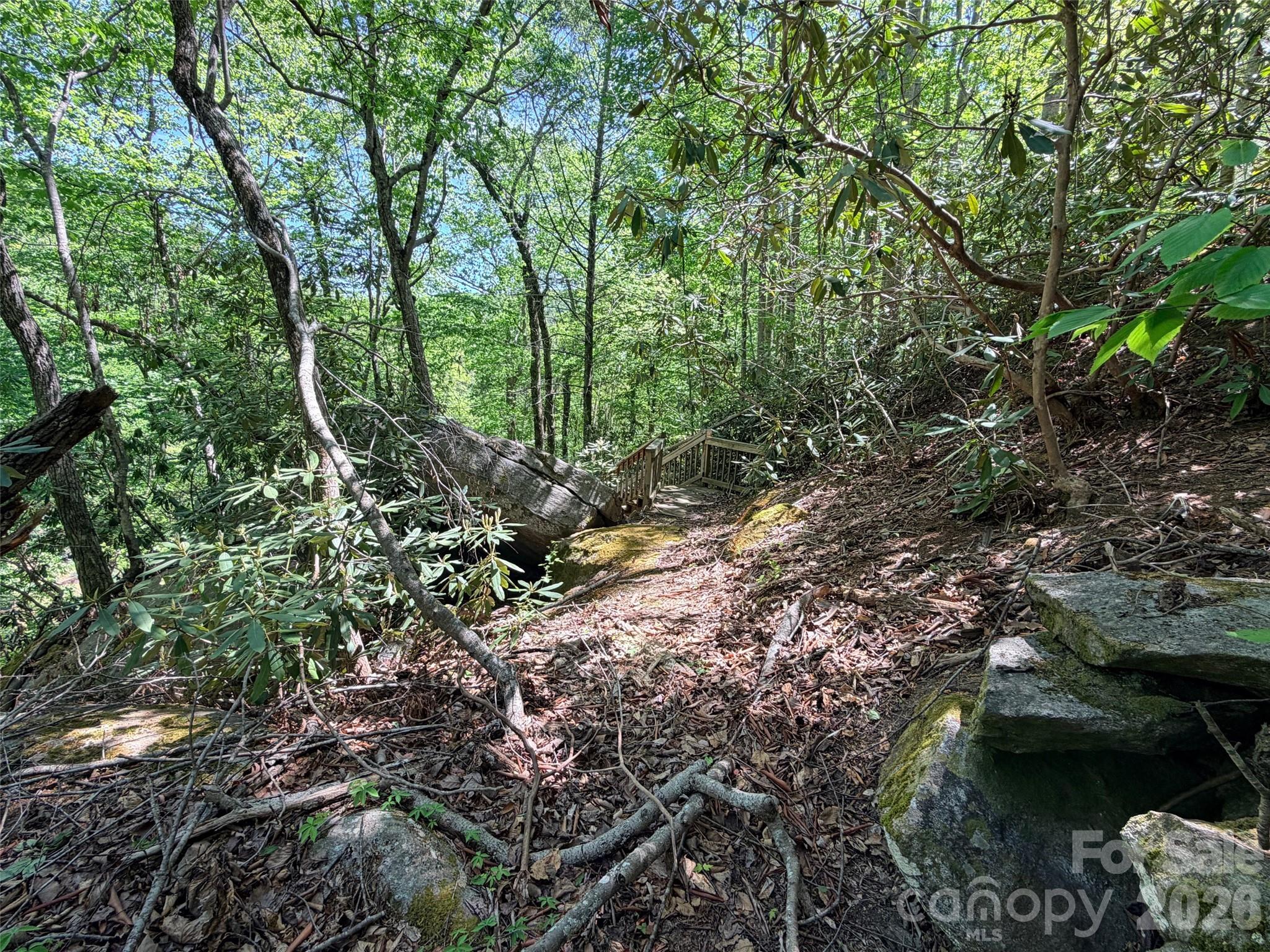 595 Quail Ridge Boulevard Lake Lure NC 28746