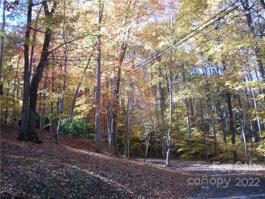 Lot 13 Dogwood Drive Maggie Valley NC 28751