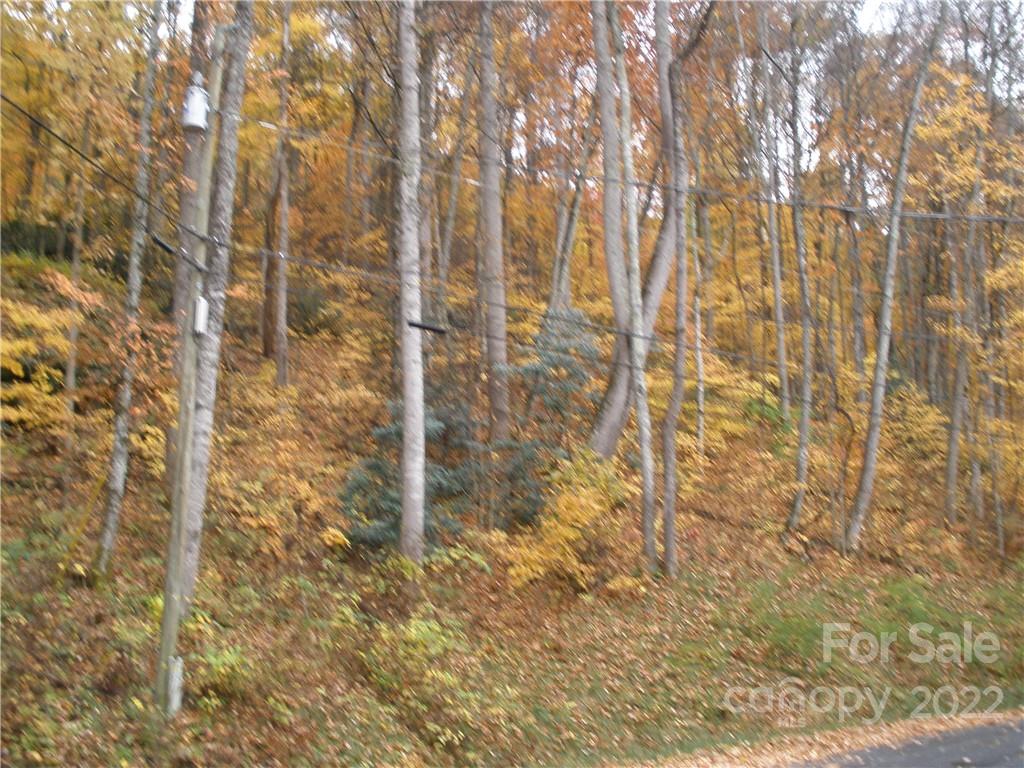 Lot 13 Dogwood Drive Maggie Valley NC 28751