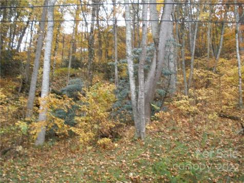 Lot 13 Dogwood Drive Maggie Valley NC 28751