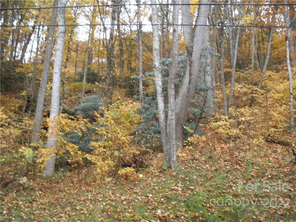 Lot 13 Dogwood Drive Maggie Valley NC 28751