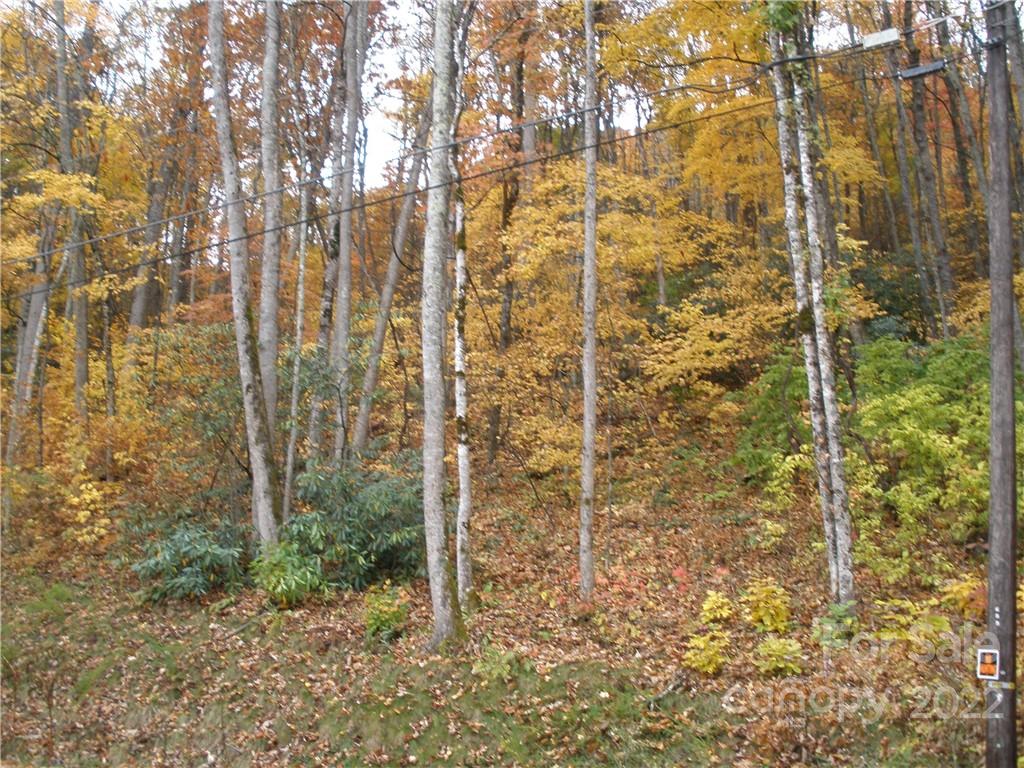 Lot 13 Dogwood Drive Maggie Valley NC 28751
