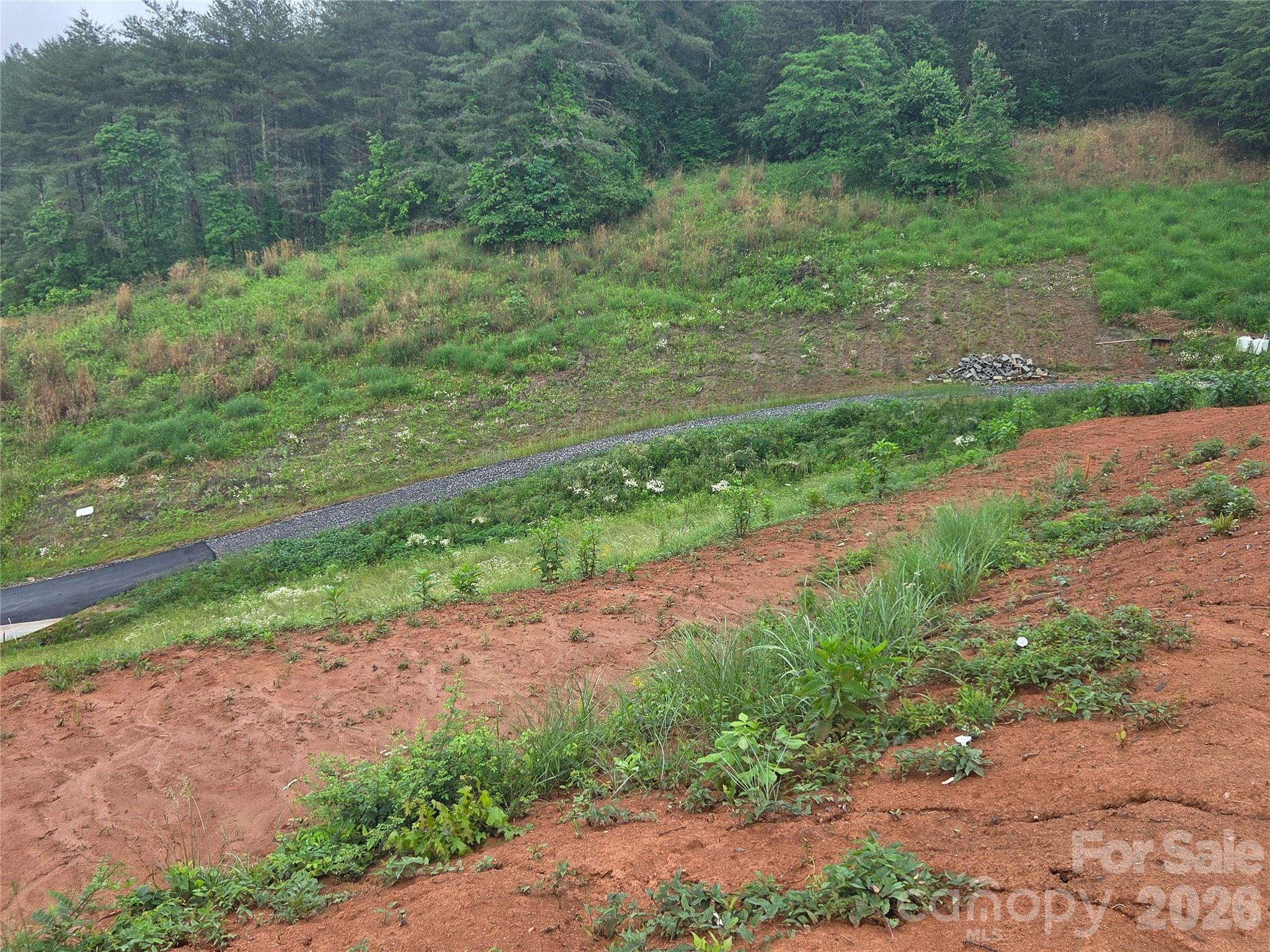248 Big Branch Drive Mars Hill NC 28754