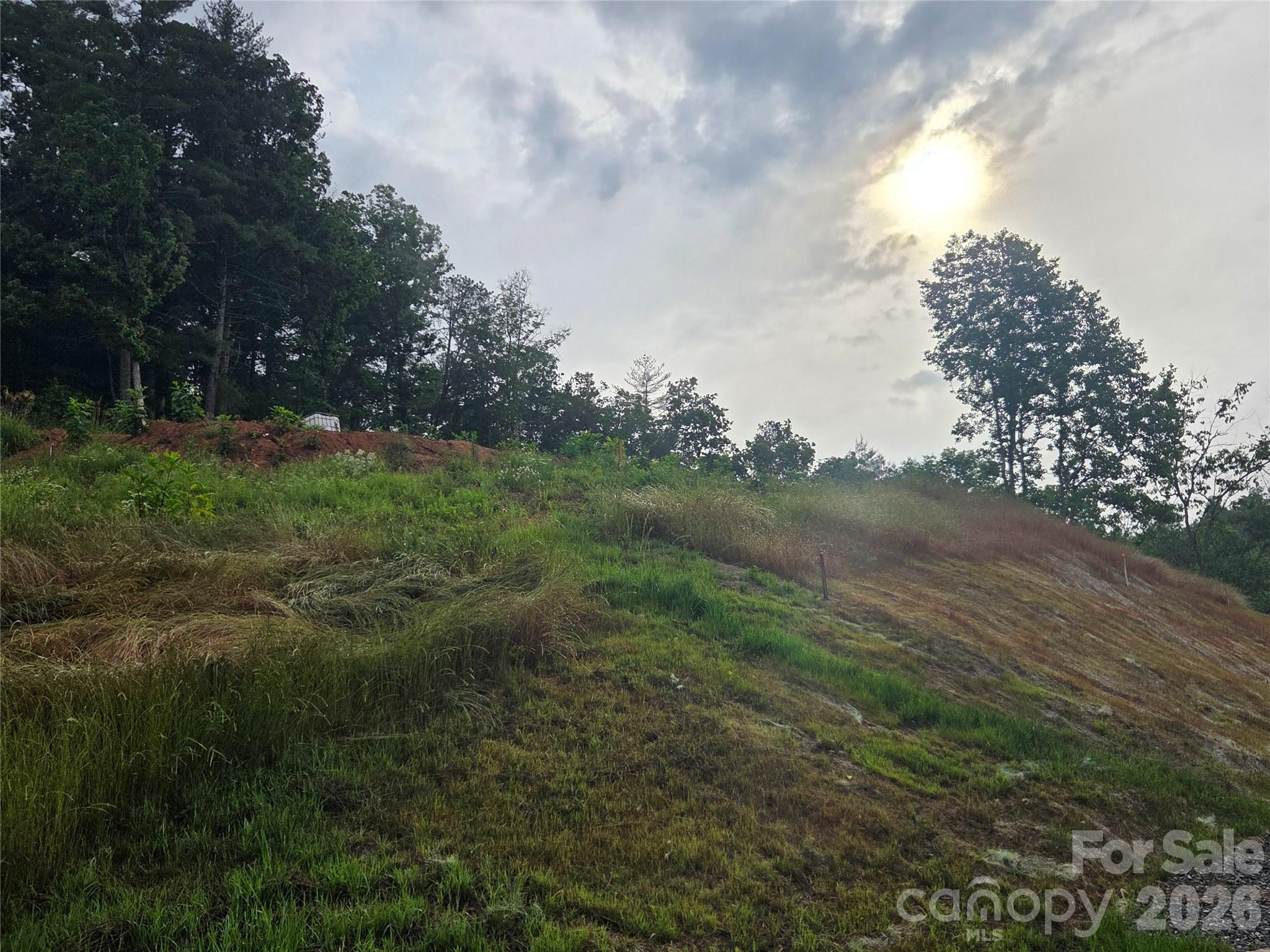 248 Big Branch Drive Mars Hill NC 28754