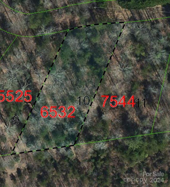 Tbd Biggerstaff Loop Nebo NC 28761