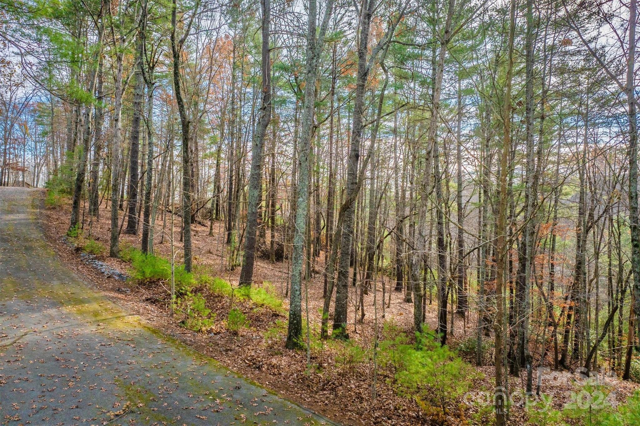 133 James Bob Stafford Drive Nebo NC 28601