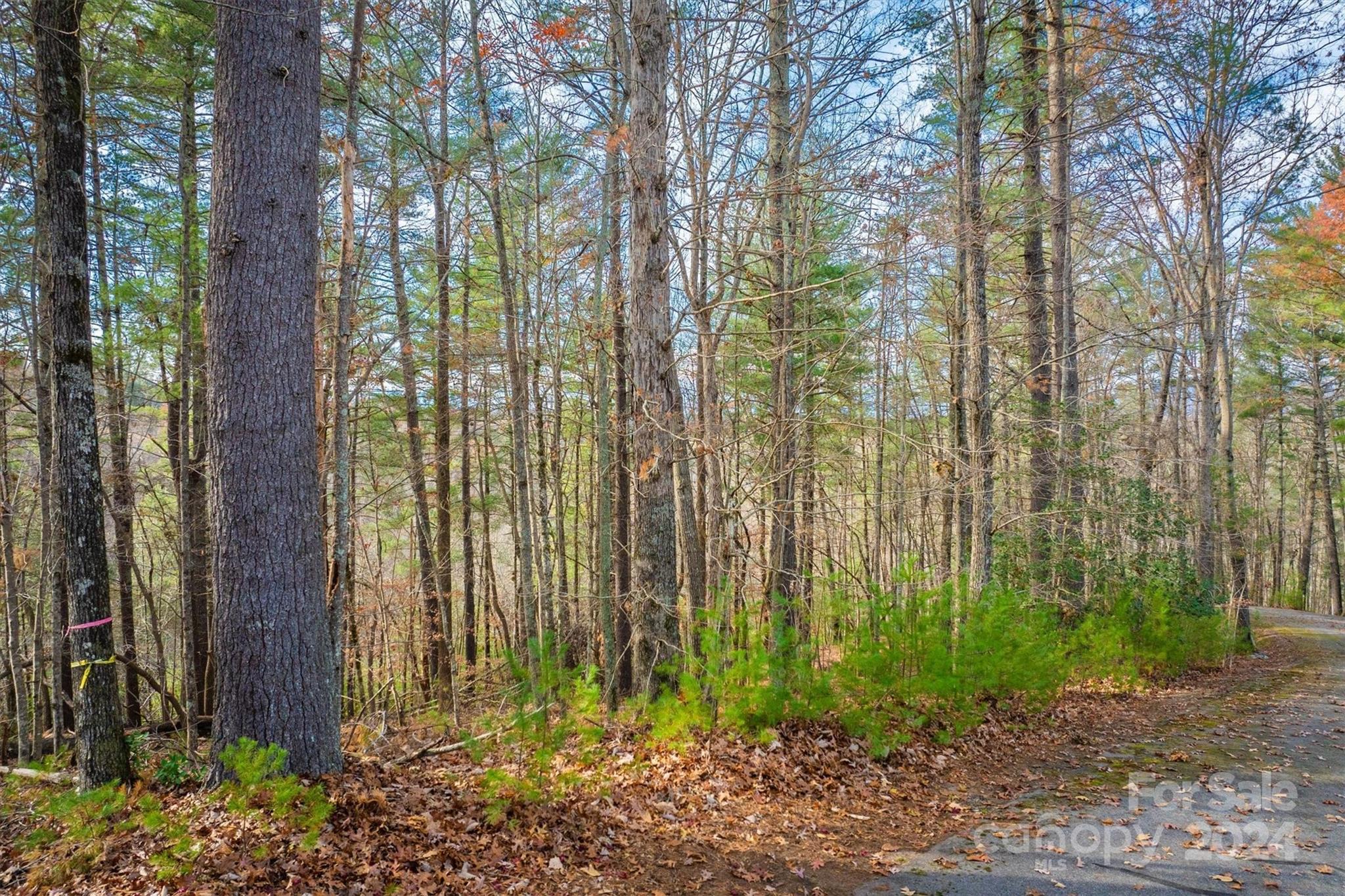 133 James Bob Stafford Drive Nebo NC 28601