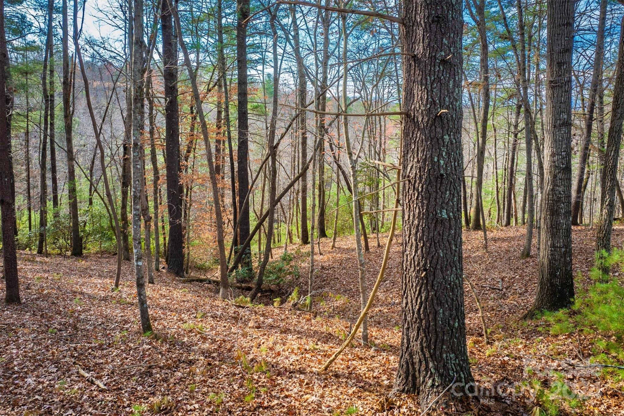 133 James Bob Stafford Drive Nebo NC 28601