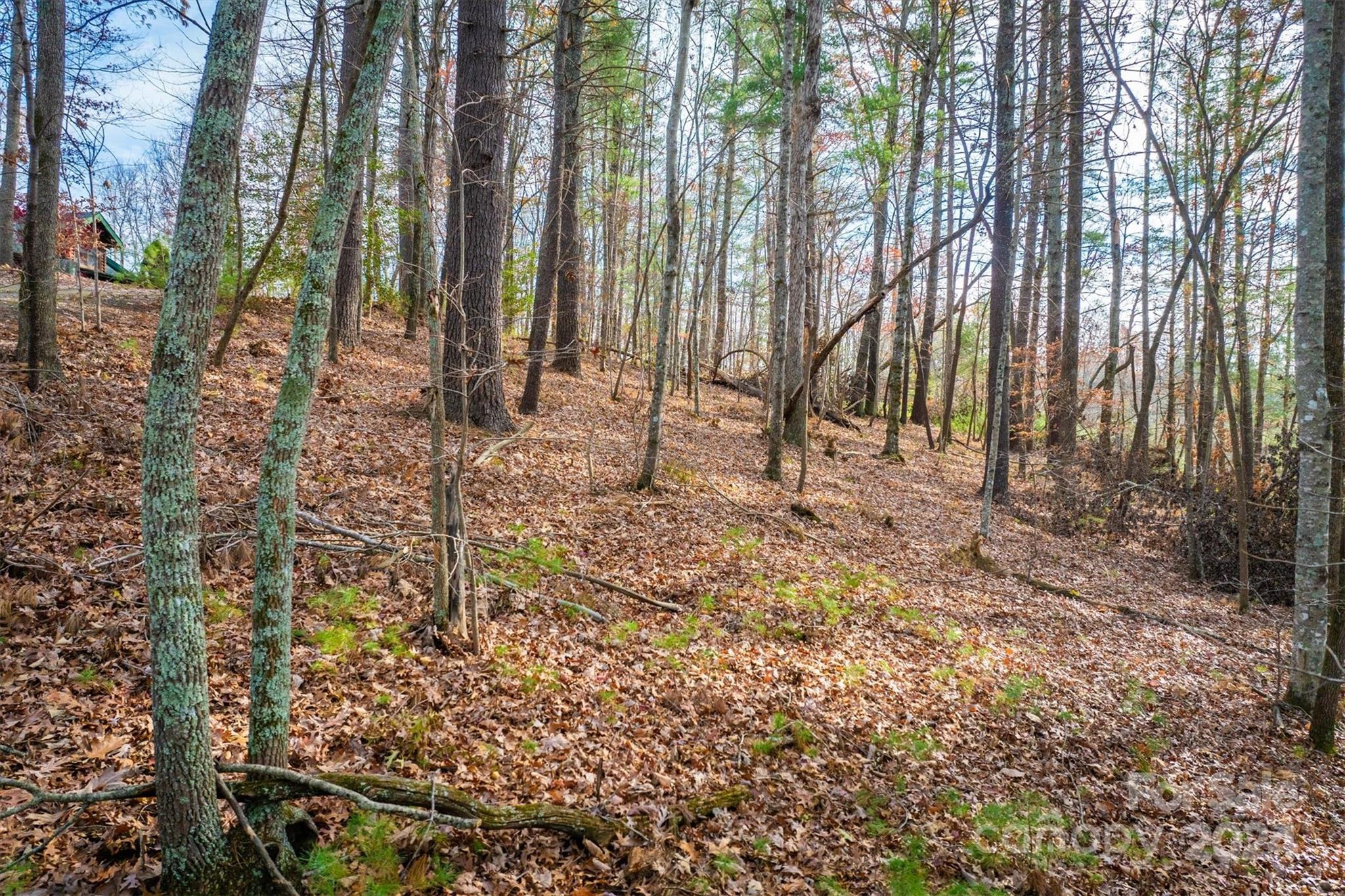 133 James Bob Stafford Drive Nebo NC 28601
