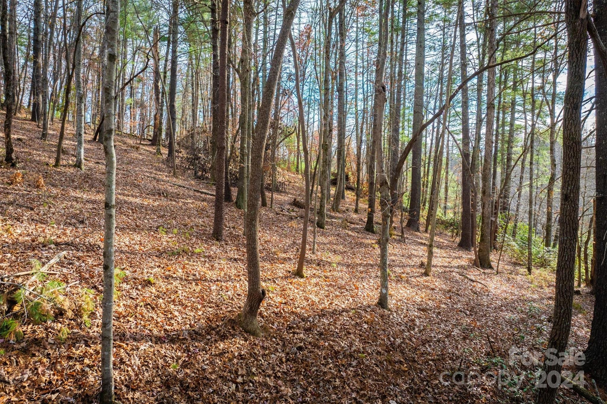 133 James Bob Stafford Drive Nebo NC 28601