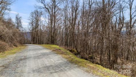 Tbd Live Oak Loop Waynesville NC 28785