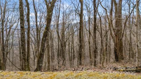 Tbd Live Oak Loop Waynesville NC 28785