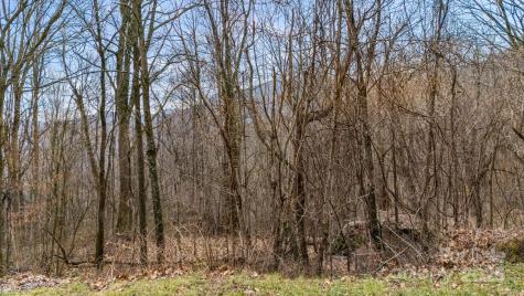 Tbd Live Oak Loop Waynesville NC 28785