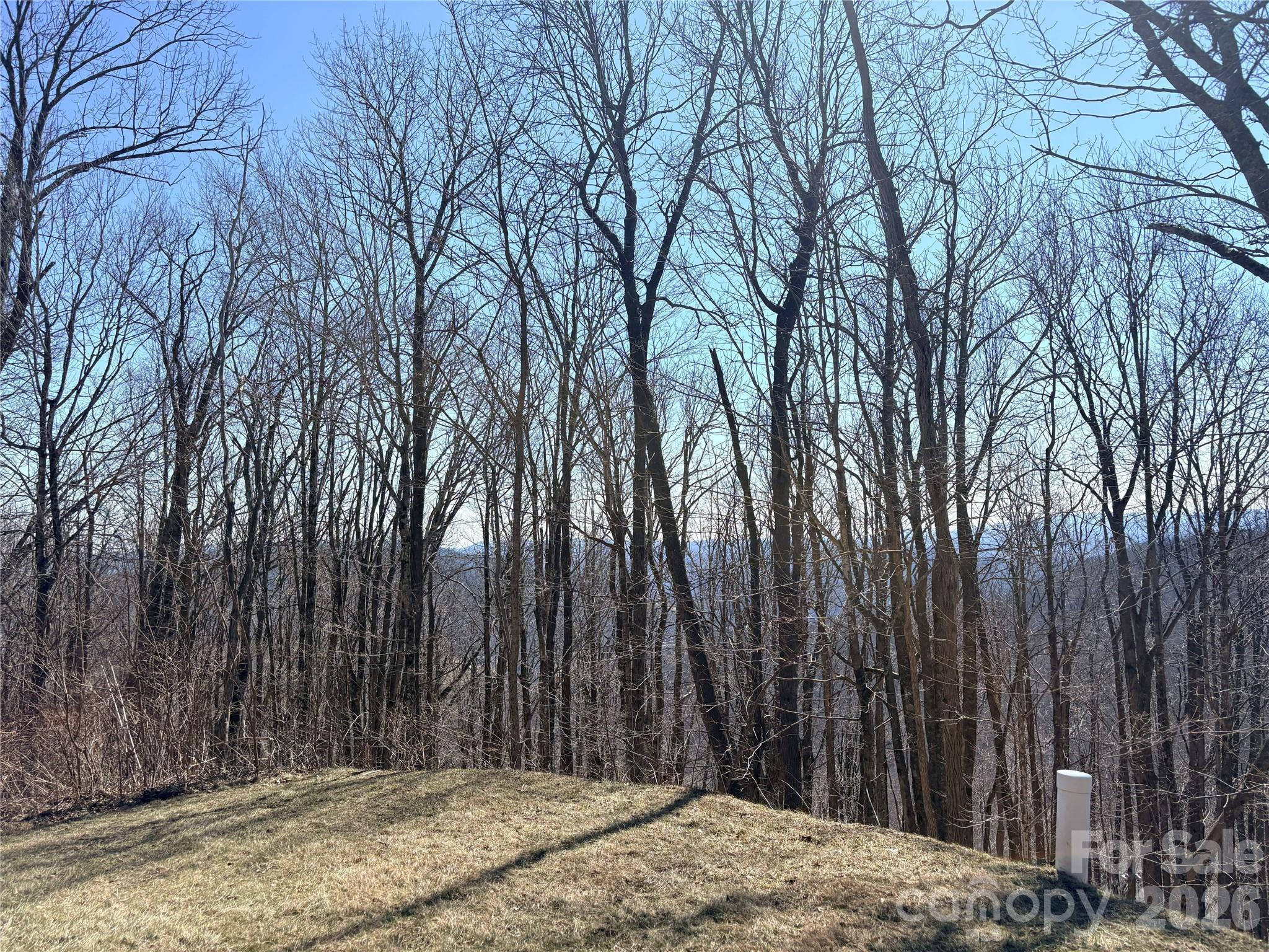 Lot 68 Elk Creek Mountain Parkway Todd NC 28684