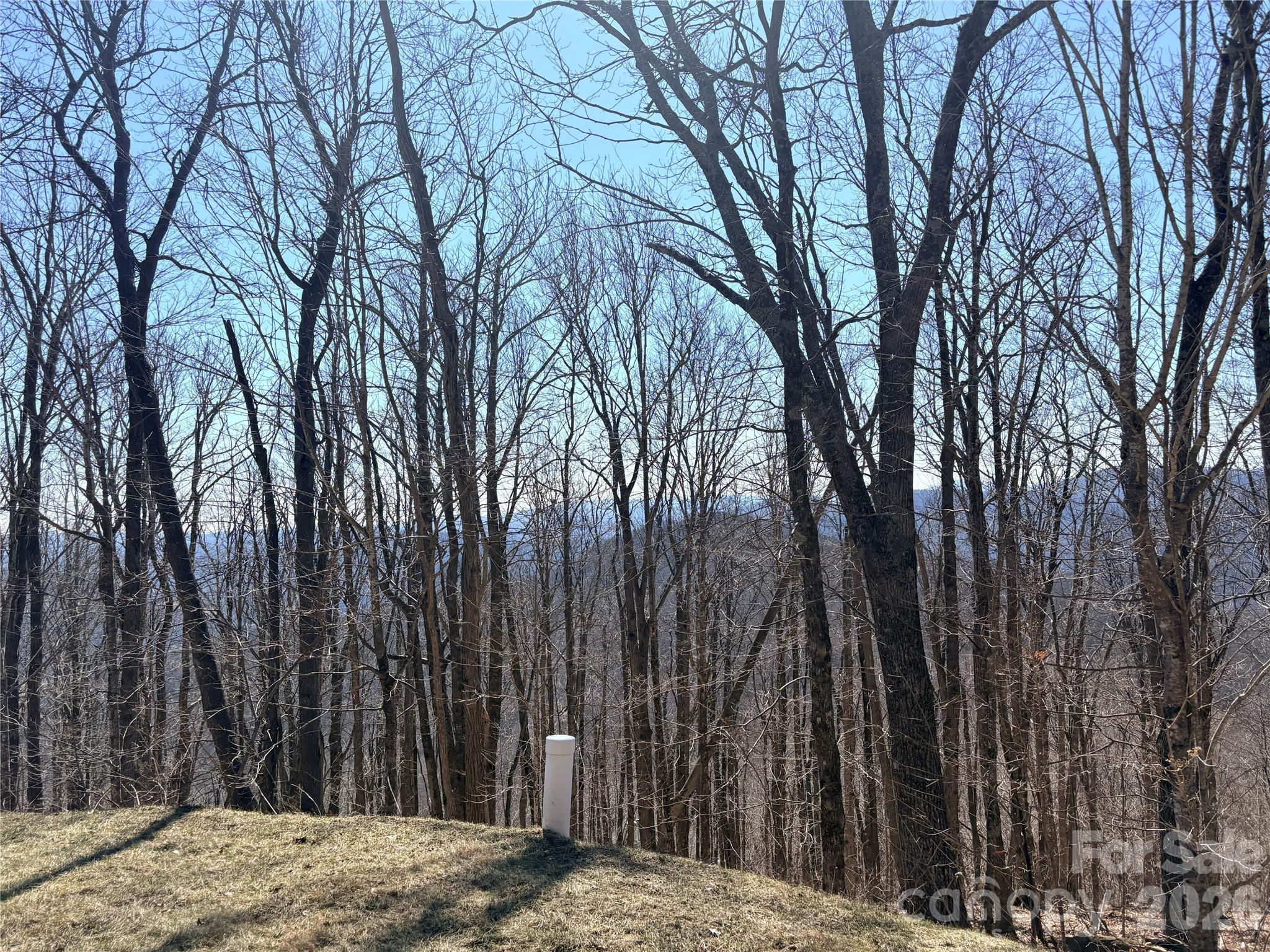 Lot 68 Elk Creek Mountain Parkway Todd NC 28684