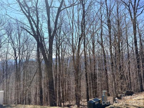Lot 68 Elk Creek Mountain Parkway Todd NC 28684