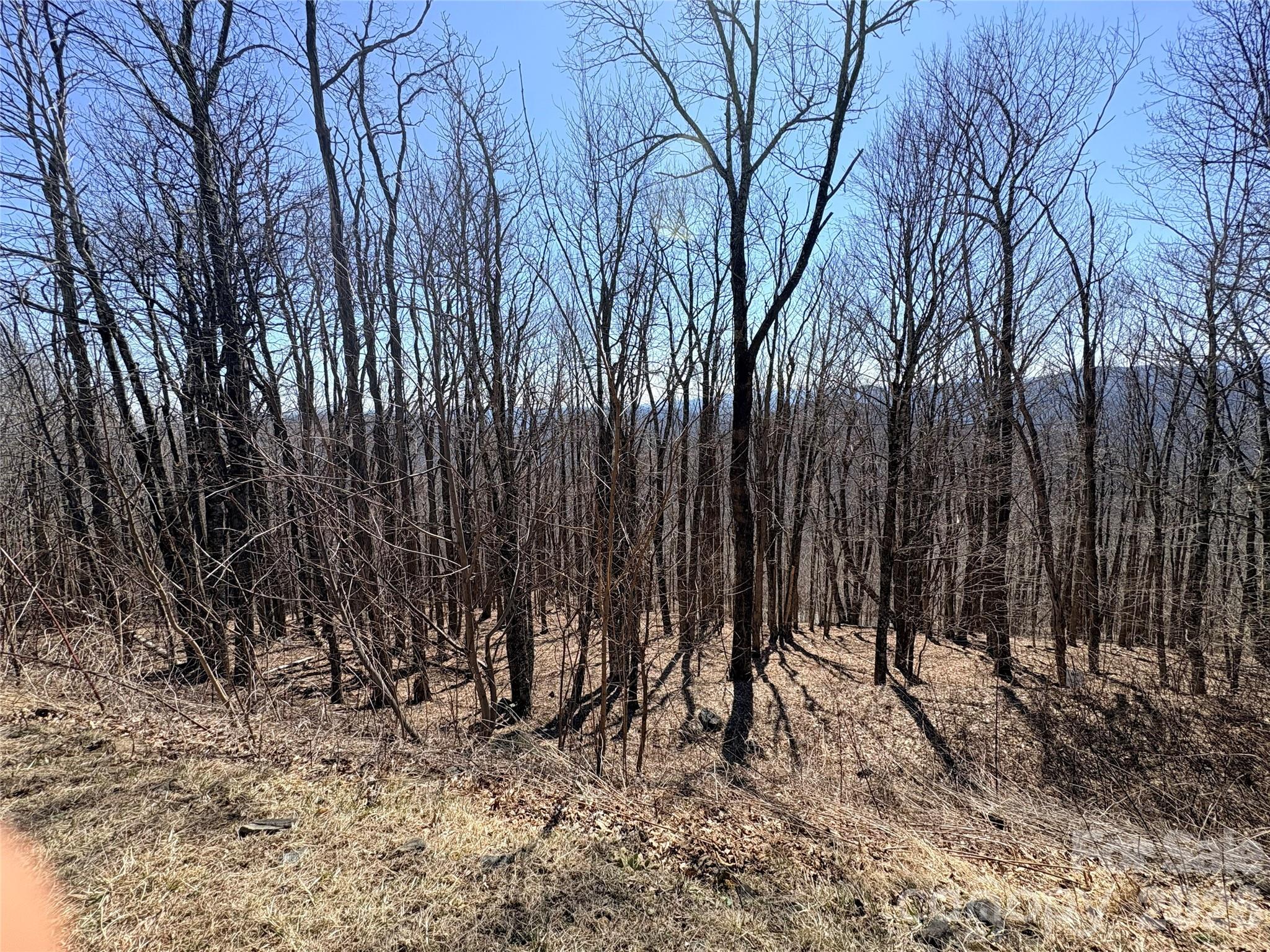 Lot 68 Elk Creek Mountain Parkway Todd NC 28684