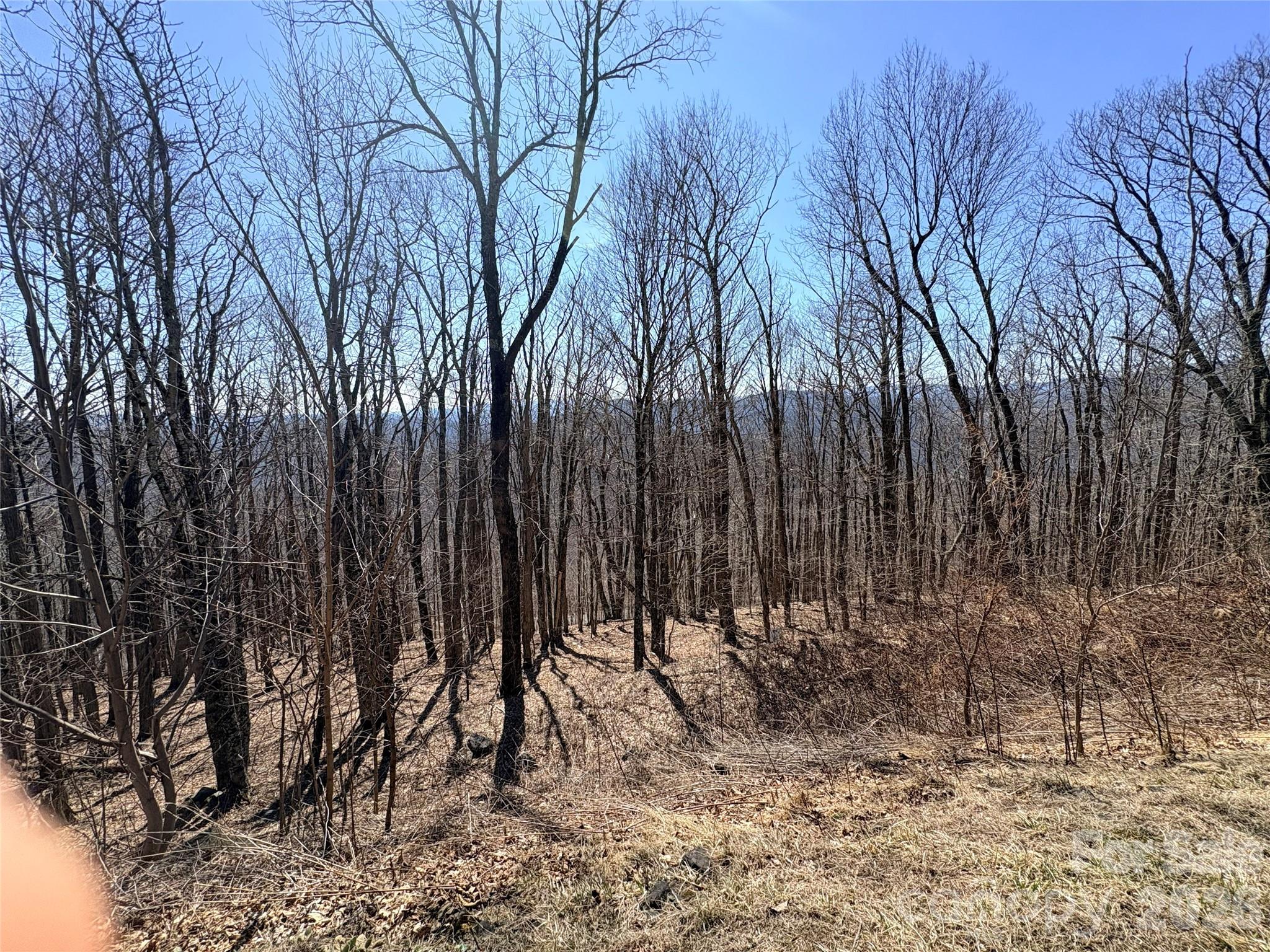 Lot 68 Elk Creek Mountain Parkway Todd NC 28684