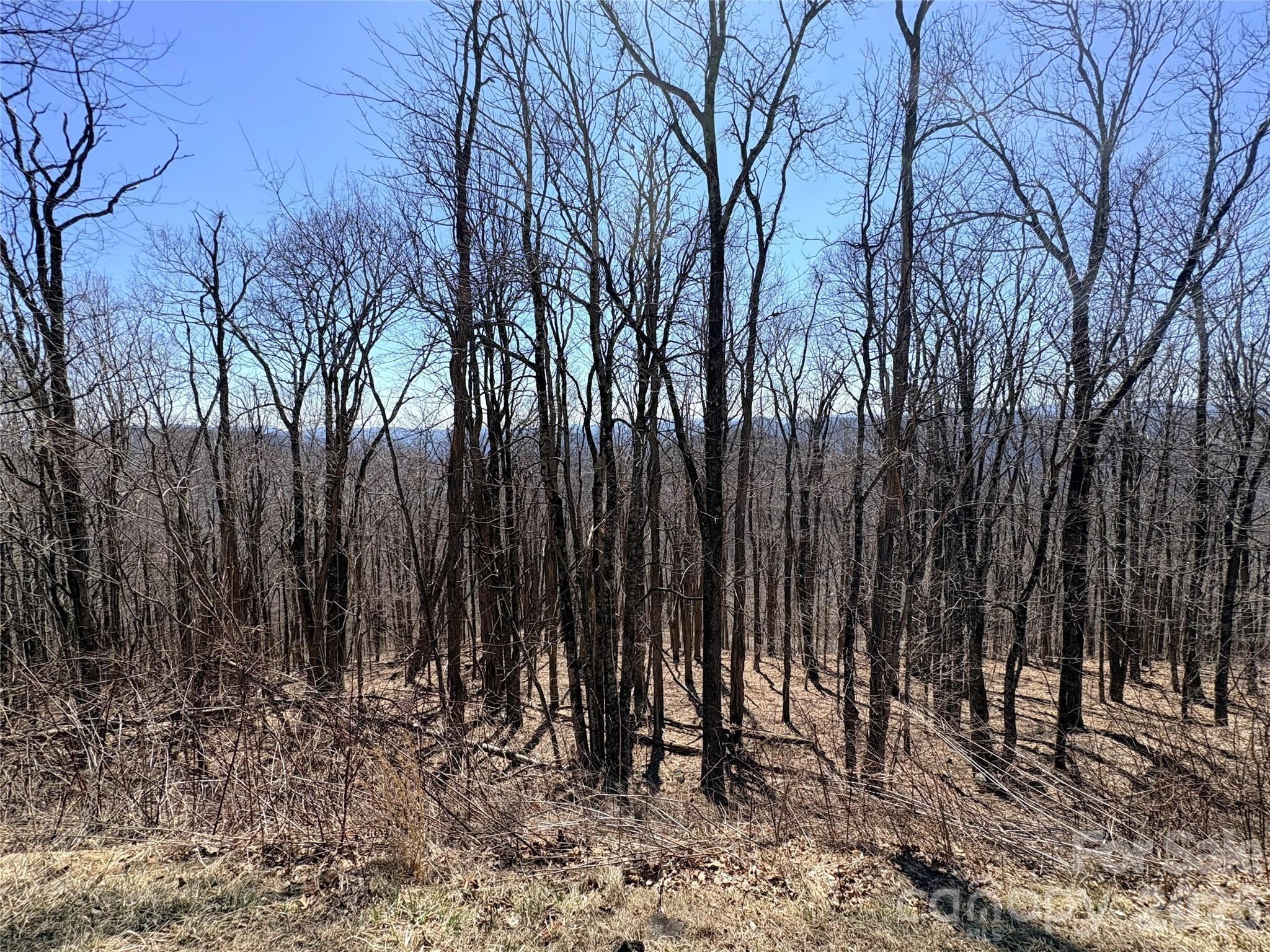 Lot 68 Elk Creek Mountain Parkway Todd NC 28684