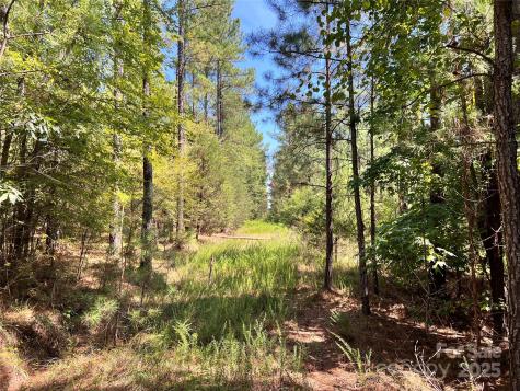 Lot #1 Goings Road Chester SC 29706