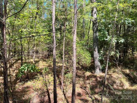 Lot #1 Goings Road Chester SC 29706