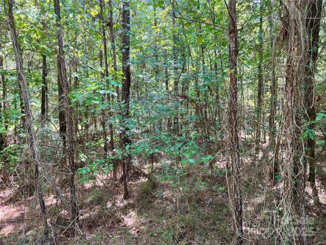 Lot #1 Goings Road Chester SC 29706