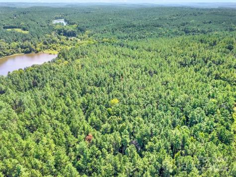 Lot #1 Goings Road Chester SC 29706