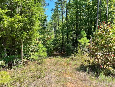 Lot #1 Goings Road Chester SC 29706