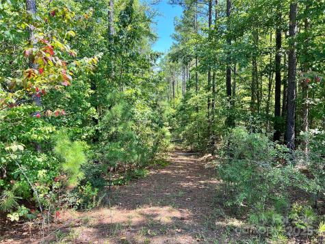 Lot #1 Goings Road Chester SC 29706