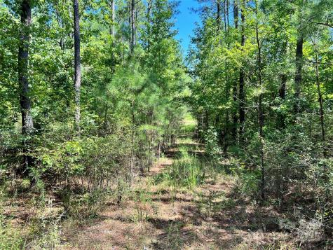 Lot #1 Goings Road Chester SC 29706