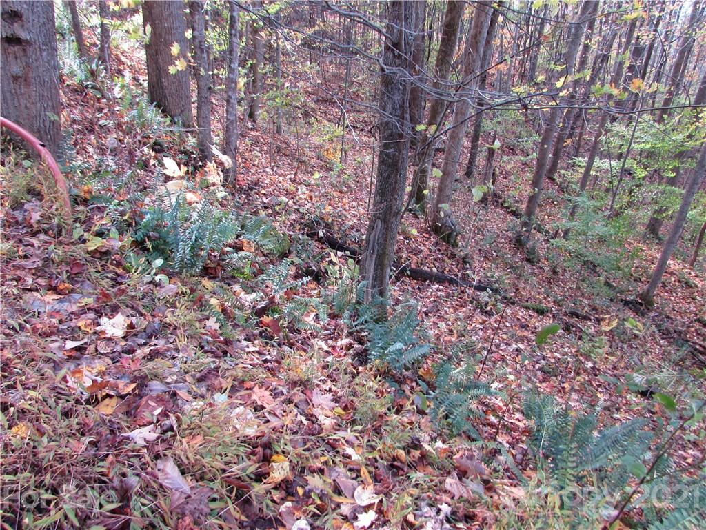 E- 15 Red Wolf Run Mars Hill NC 28754
