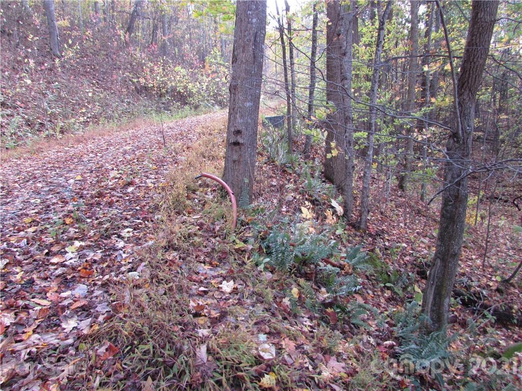 E- 15 Red Wolf Run Mars Hill NC 28754