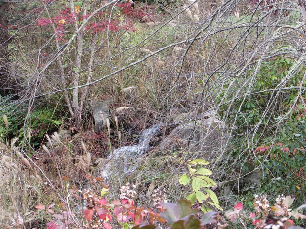 E- 15 Red Wolf Run Mars Hill NC 28754