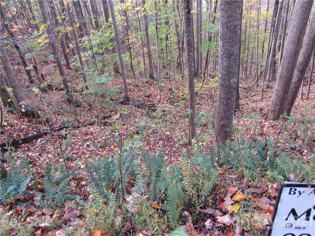 E- 15 Red Wolf Run Mars Hill NC 28754
