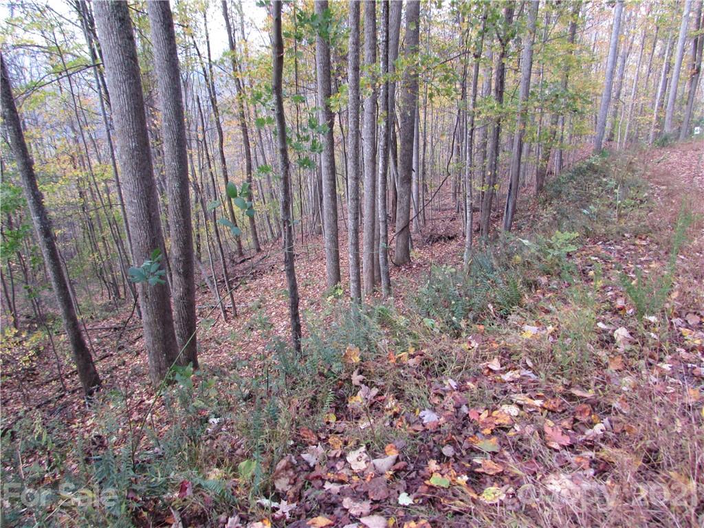E- 15 Red Wolf Run Mars Hill NC 28754