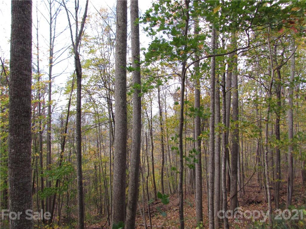 E- 15 Red Wolf Run Mars Hill NC 28754