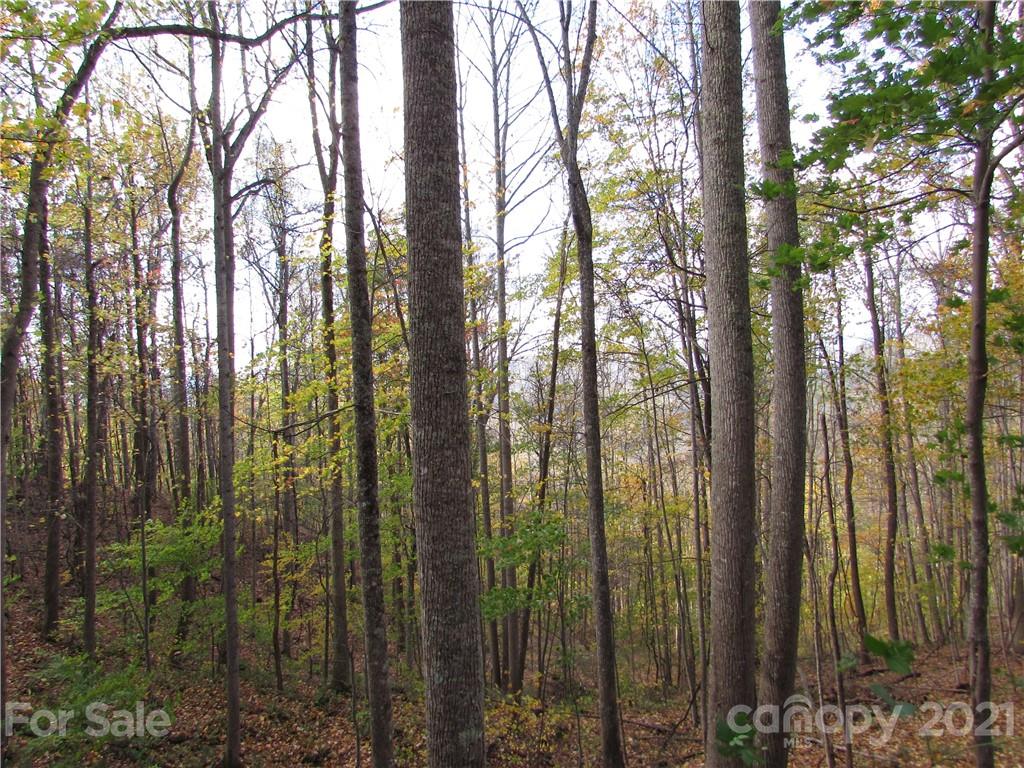 E- 15 Red Wolf Run Mars Hill NC 28754